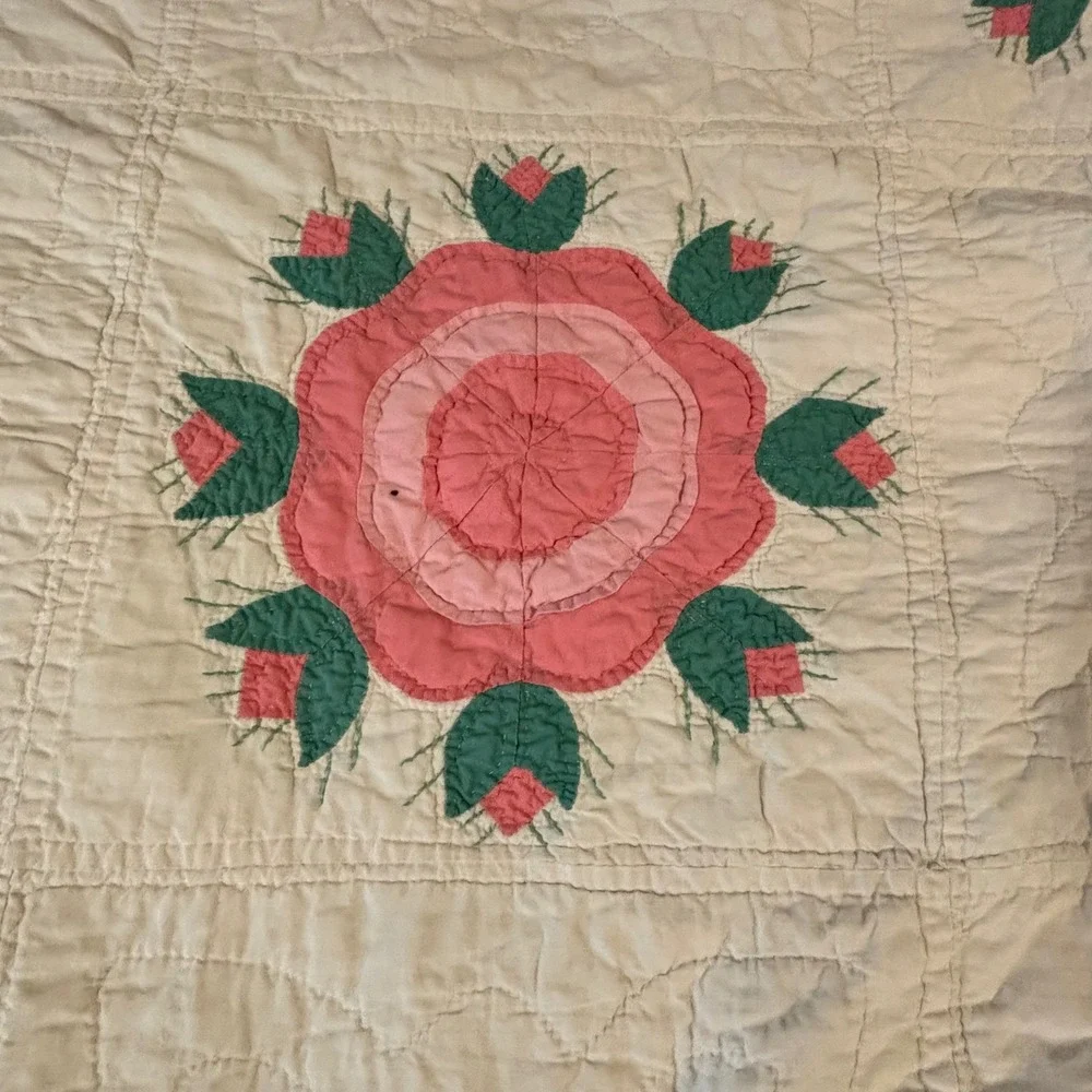 Vintage Handmade Rose of Sharon Ohio Rose Applique Quilt Pink Green 66x80 Twin